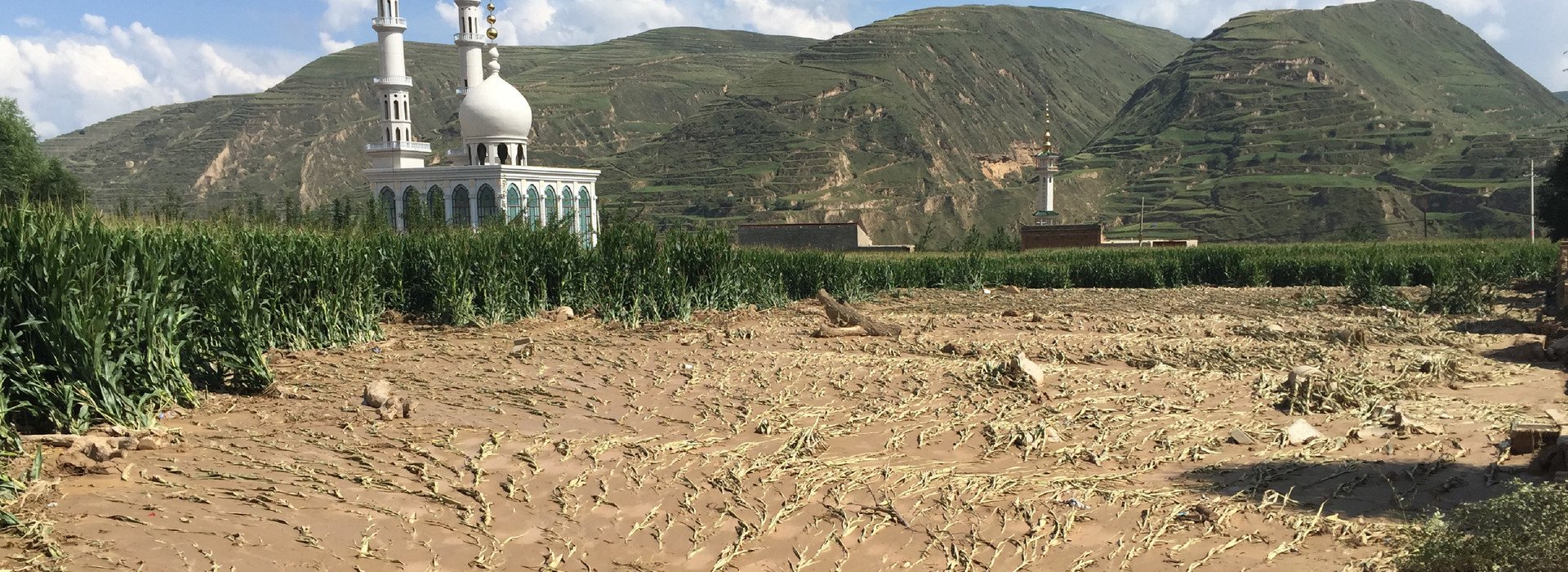 甘肃省东乡县果园镇陈何村农田被山洪冲浸，农作物受损严重。