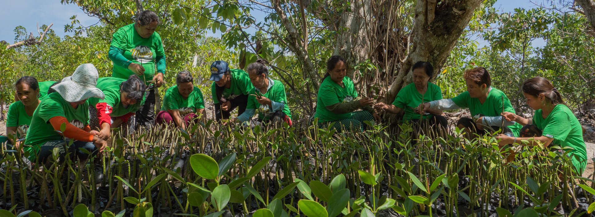 Fair Sharing of Natural Resources