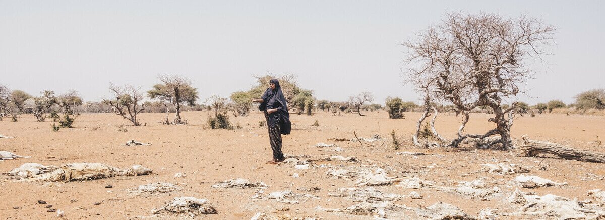 Woman stands in open space with wilted trees and carcasses around her.