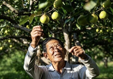 Image of 種了一輩子紅梨，他把一整片土地留給了孩子 (Chinese only)