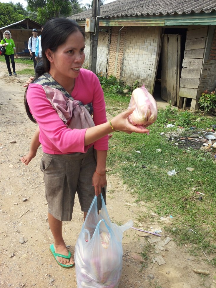 老挝小农户把他们新鲜种植的糯玉米煮熟并出售。
