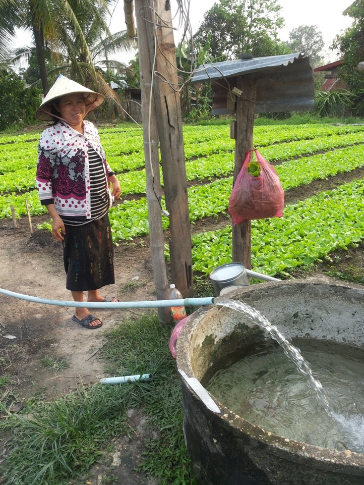 乐施会支持老挝当地的农业技术中心，传播低农药的种植技术，保障小农户自己和消费者健康。图为参加计划的女农户正在清洗蔬菜，并准备出售给当地的批发商人，及在市场出售。