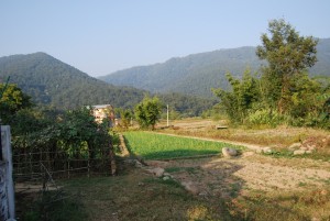 合作社四周看到的農田