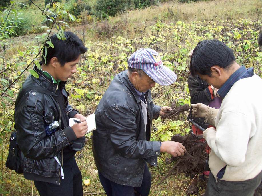 劉雁（左一）與參加種植培訓的村民。