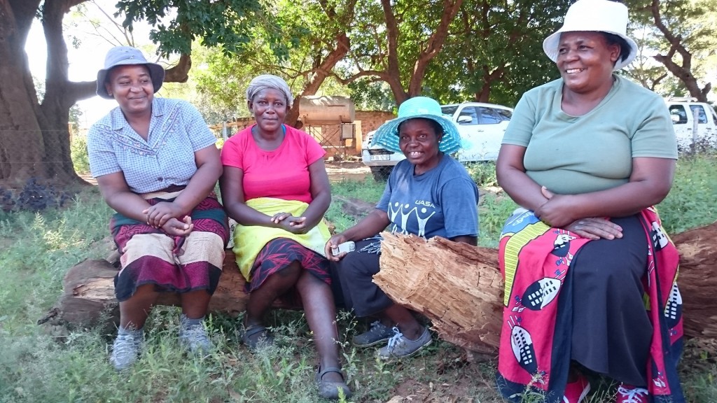 南非農村婦女小組通過養雞和製造陶器增加收入，自力更生。