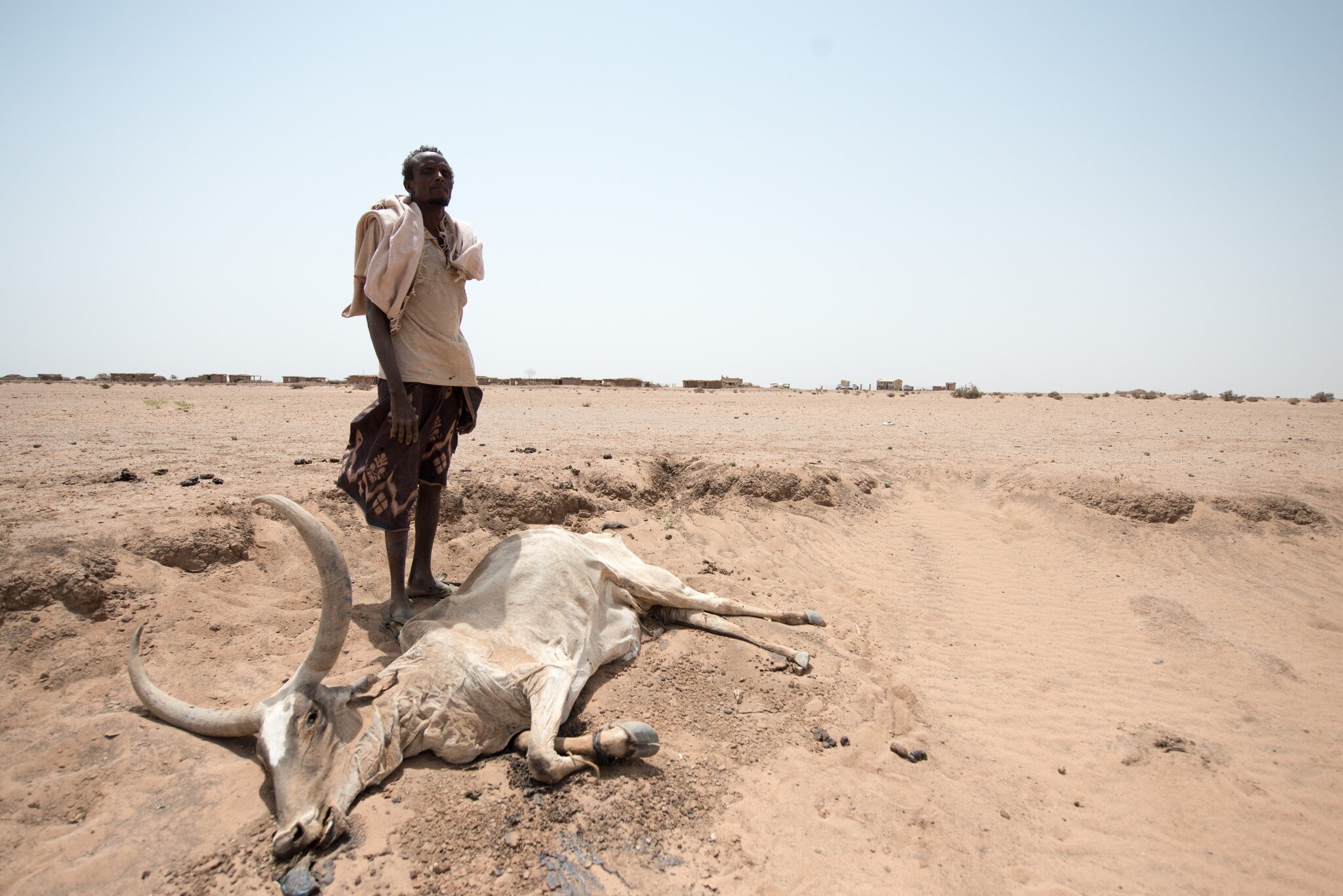 Ethiopia drought