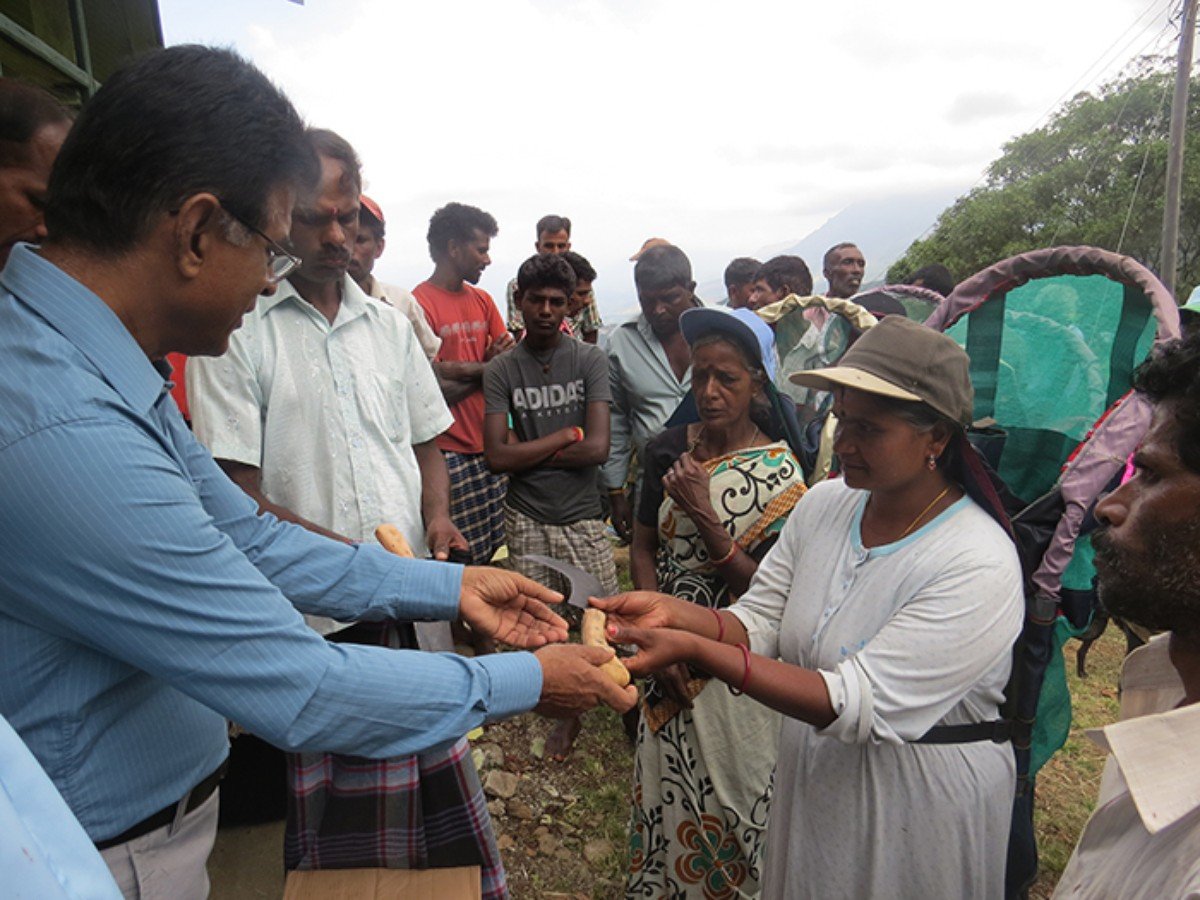 「工欲善其事 必先利其器」，斯里蘭卡的小農合作社SOFA向小農派發農具，提供農務培訓，又派發茶苗，讓小農改善生活。（圖：SOFA）