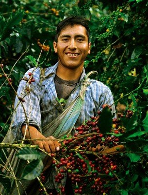 Miguel：「我們注重環境保護，採用有機方法生產優質咖啡豆，不單保障消費者健康，也為我們帶來更好的收入！」