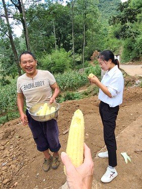 龙家坝村民的玉米（摄：笔者）