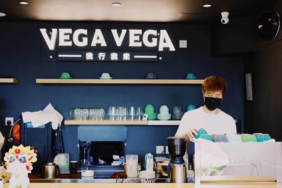 vegavega