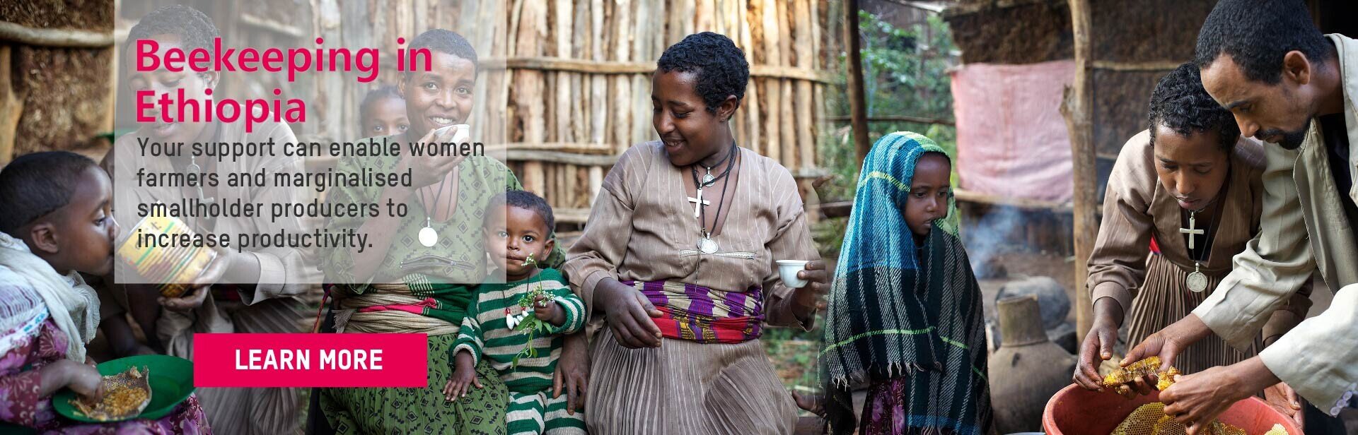 Beekeeping in Ethiopia