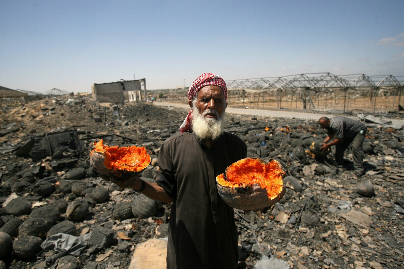 Meleh Al Shaer grows pumpkins on his farm in the southern Gaza Strip. The farm was completely destroyed a few days ago.