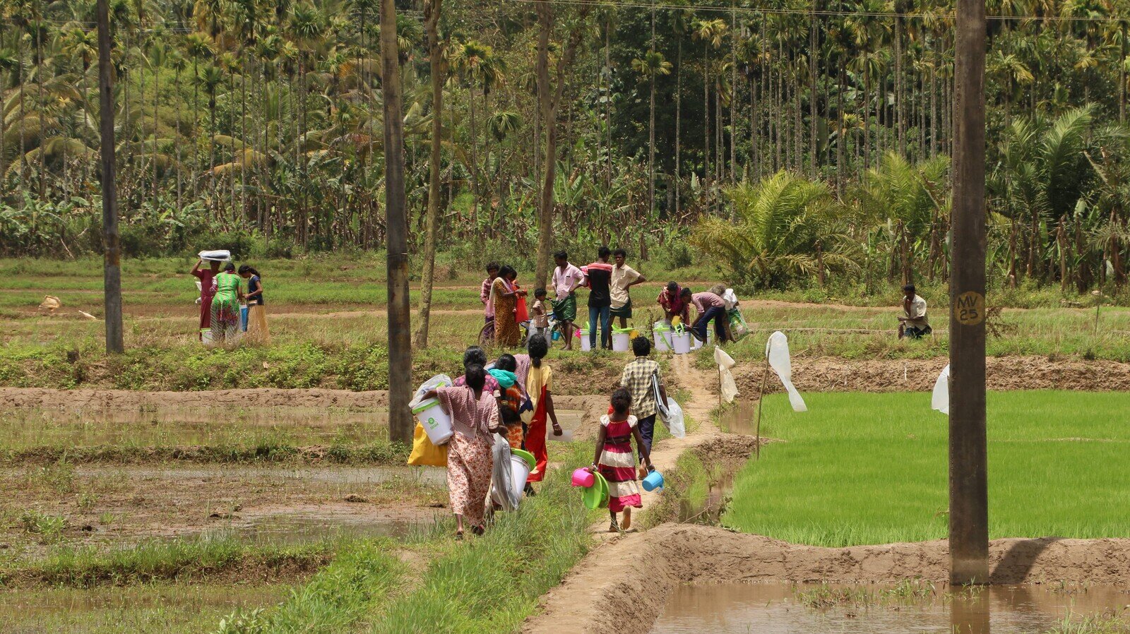 Image of Southern India Floods