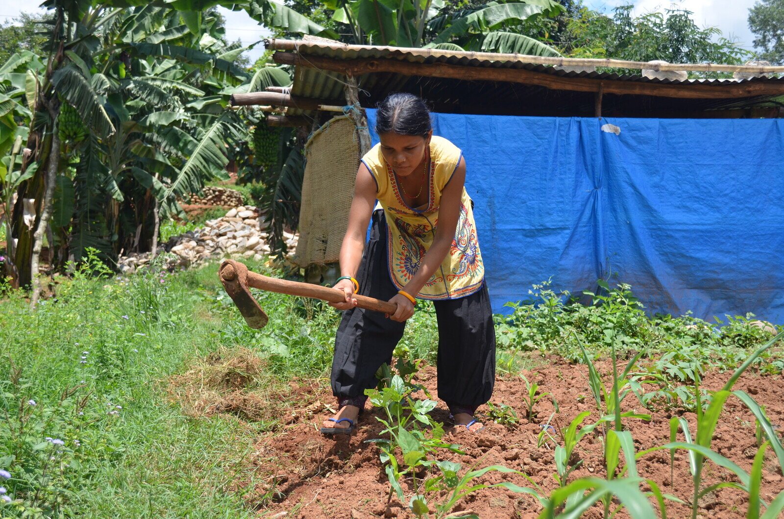 Radhika works her small field with tools from Oxfam. Radhika, her husband and their five-year-old son lost their house and cattle shed and toilet and now live in a temporary shelter with their in-laws. Oxfam has provided her with farming tools and a hygiene kit. (Photo: Roshani Kapali /Oxfam)