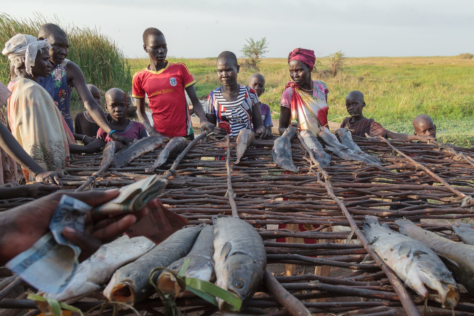 樂施會提供謀生工具及培訓，協助災民復耕或捕魚自足。（攝影：Bruno Bierrenbach Feder/Oxfam）