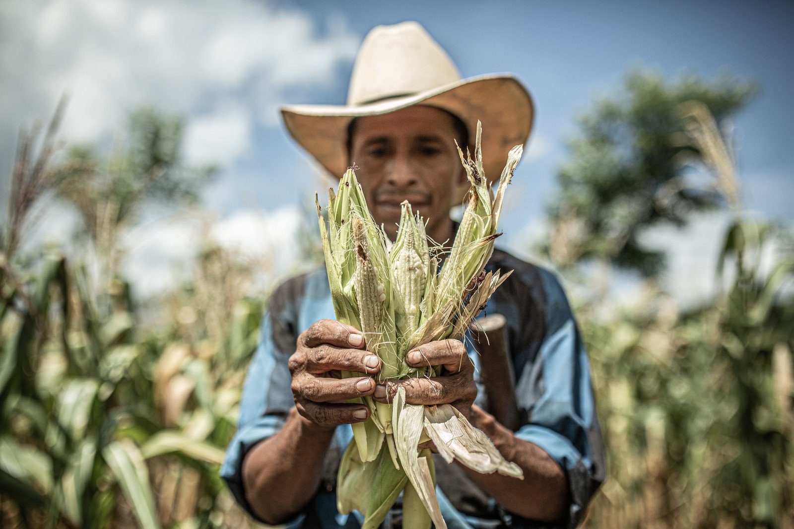 在中美洲，樂施會正聯同合作夥伴為2萬名受旱災影響的農民提供糧食援助，並向他們提供抗旱種子，保障當地人的農業生產。（照片︰Pablo Tosco / 樂施會）