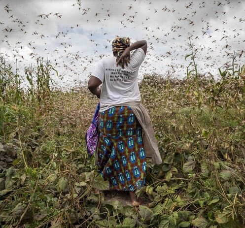 Carbon emissions of richest 1% more than double those of poorest half of the world - 圖像