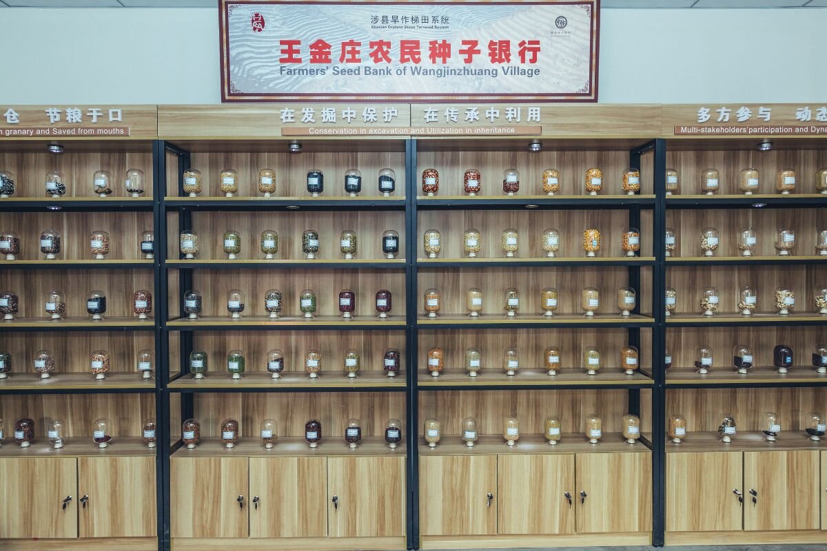 The Wangjinzhuang Farmers' Seed Bank