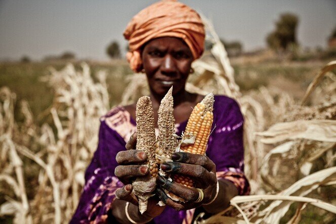 Oxfam Programmes on Smallholder Farmers 