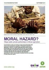 Moral Hazard – ‘Mega’ Public–Private Partnerships in African Agriculture
