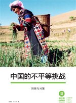 The Challenge of Inequality in China: Review and Analysis