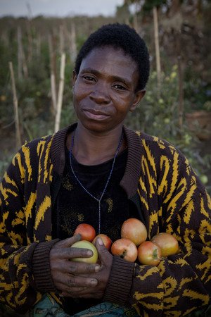 「我從樂施會取得肥料及耕作工具，也收到高質素的種子，種植出來的蕃茄能賣出個好價錢。」