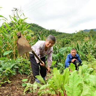 Rural Development and Disaster Management