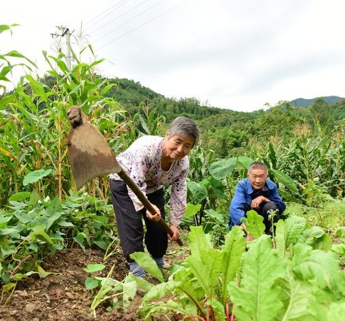 农村发展与灾害管理 - 乐施会在中国内地 - 图像