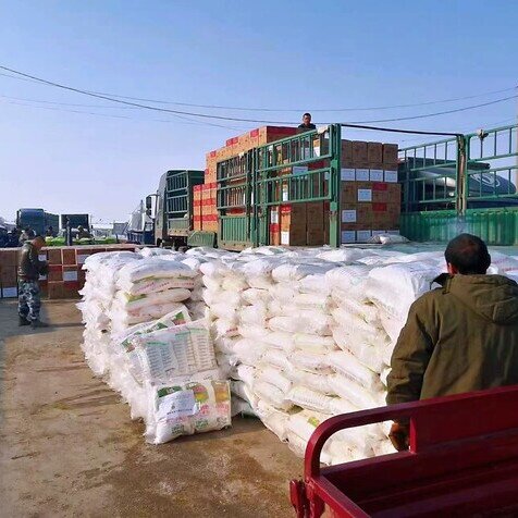 Image of 2023 Flood in the Northeast China