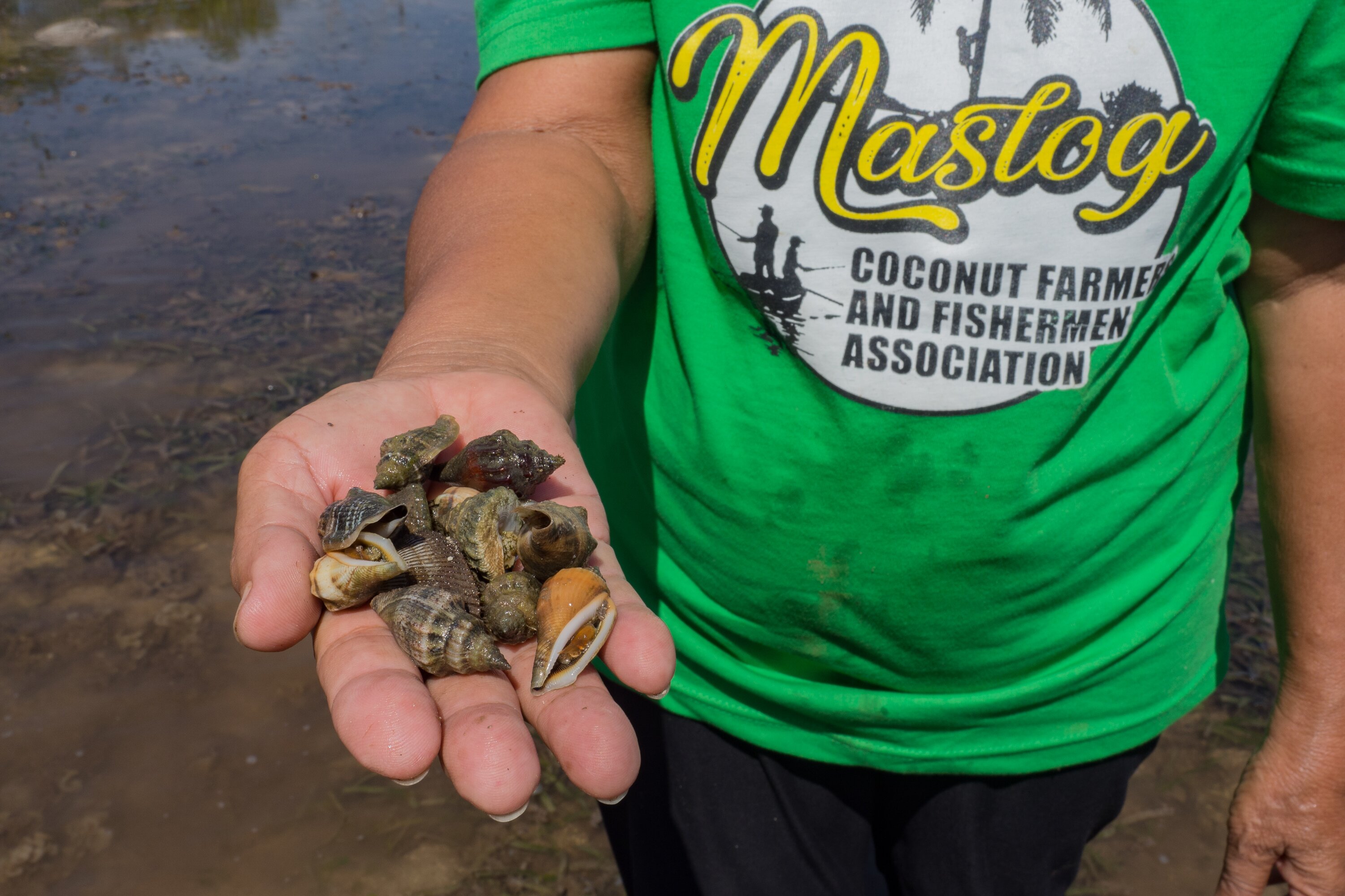 Members of the Maslog Coconut Farmer and Fishermen Association, a local fisherfolk organisation in Lawaan (in the province of Eastern Samar), planting mangrove saplings to restore a mangrove forest that was damaged by Super Typhoon Haiyan in 2013. Together with the support of Oxfam and our local partner, the association has planted more than 20,000 mangrove seedlings since 2015. (Photo: Elizabeth Stevens / Oxfam) 