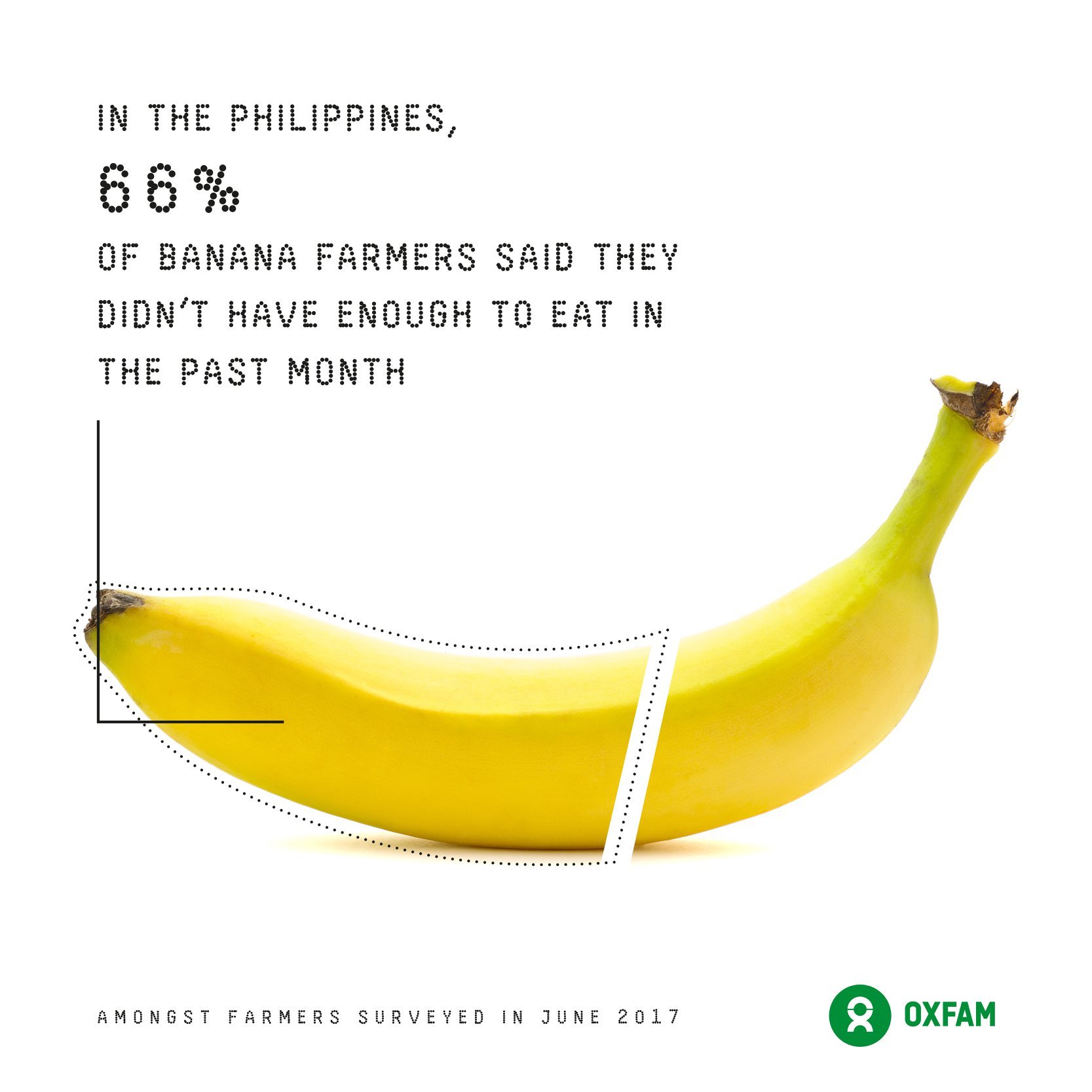 Philippine banana 
