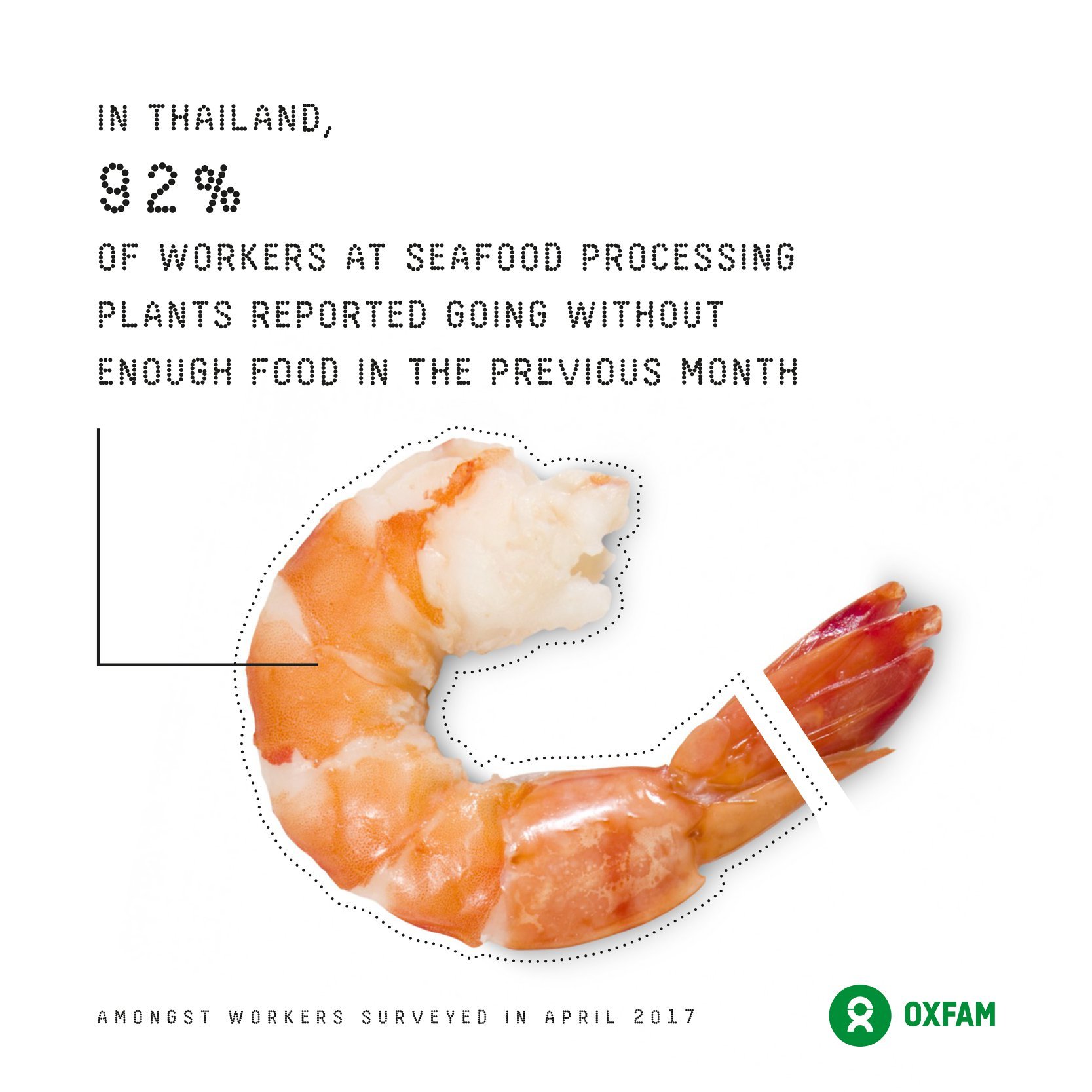 thailand shrimp
