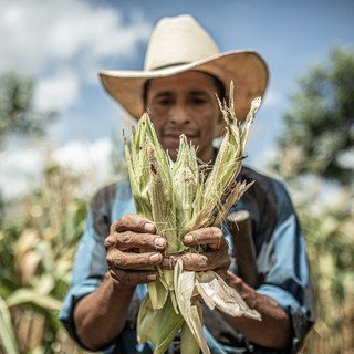 Climate and Food Justice