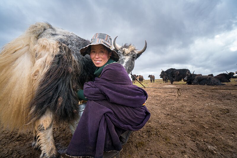 In mainland China, Oxfam has been advocating local governments to develop sustainable livelihoods in rural areas and adopt a community-driven approach that focuses on four major areas: increasing incomes, disaster relief and risk reduction, climate change adaptation, as well as establishing organisations that are run by and for the community.