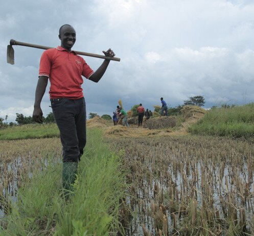 Image of Tanzania - Building skills and livelihoods