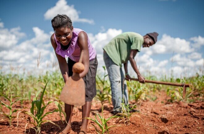 OGB_105684_Ulita and her husband Muchineripi farming corn.jpg