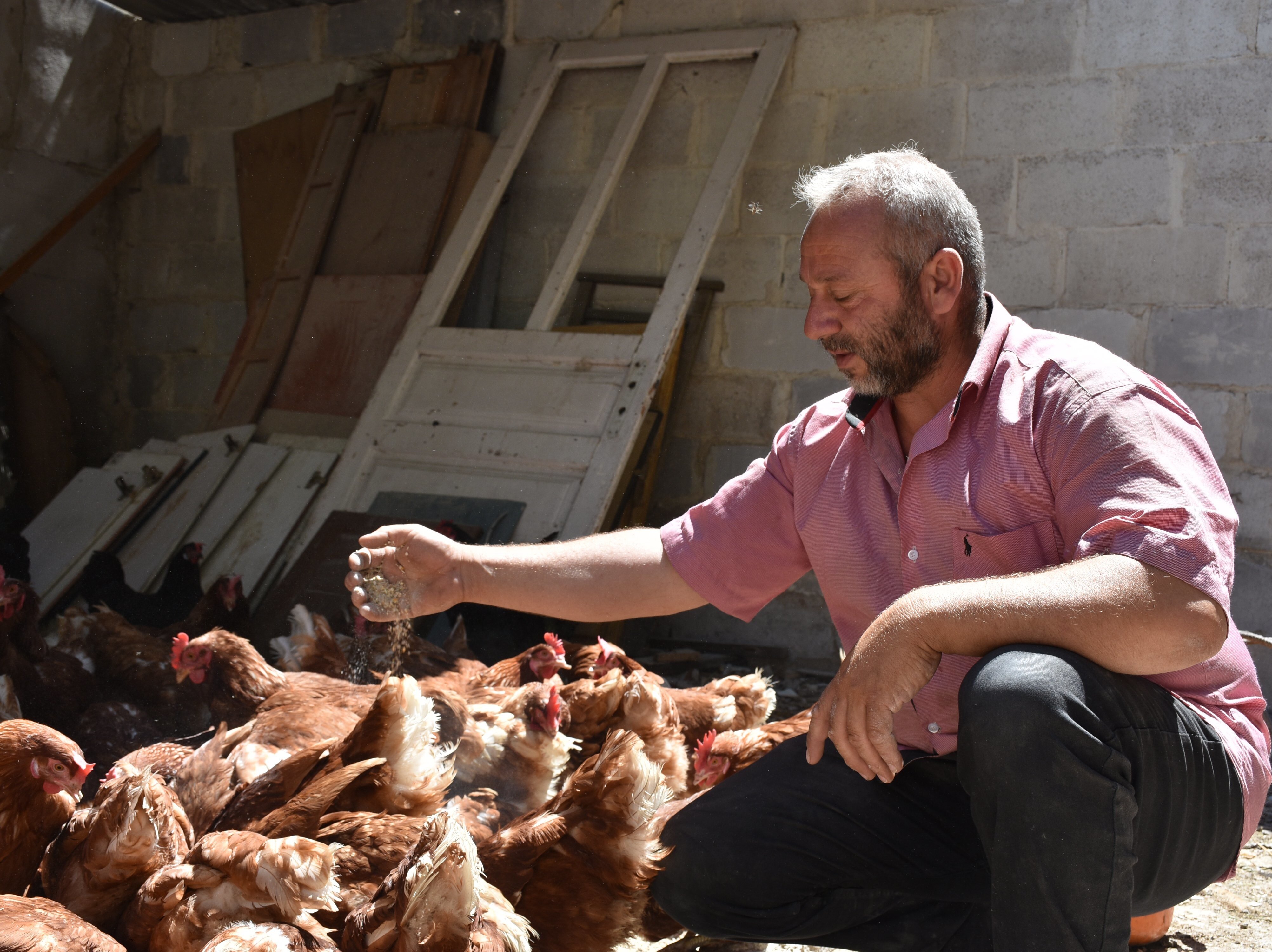 Syria: Facing war, hunger and COVID, many Syrians struggle to earn an income and have been pushed into extreme survival measures. Aside from humanitarian relief, Oxfam has also delivered chickens, tomato and eggplant seedlings, as well as cucumber and zucchini seeds, to around 2,200 people in Eastern Ghouta.  Credit: Dania Kareh / Oxfam