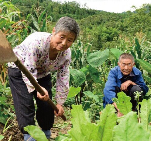 Image of Mainland China - Development Programmes